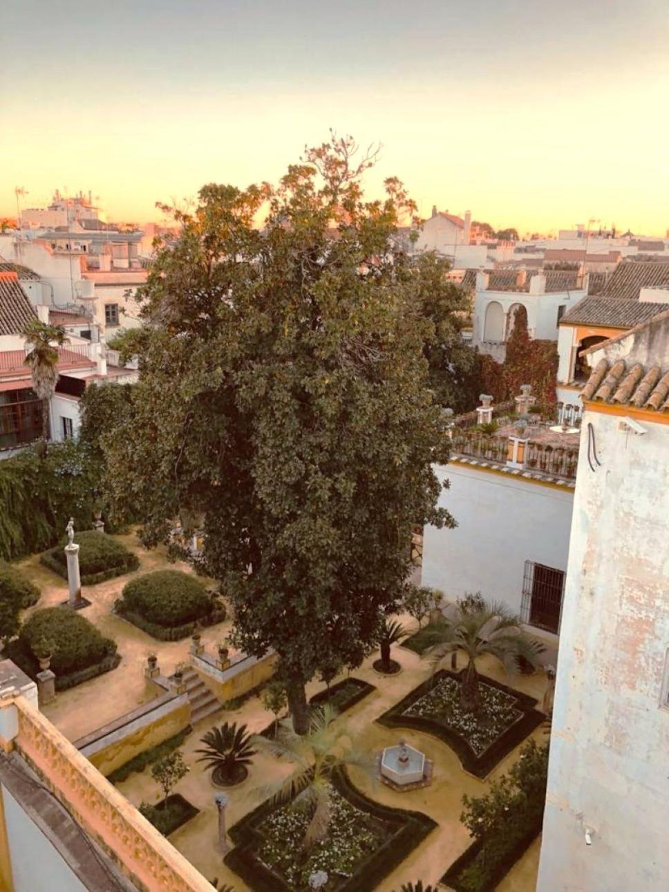 Atico Caleria Con Vistas A La Giralda Apartman Sevilla Kültér fotó